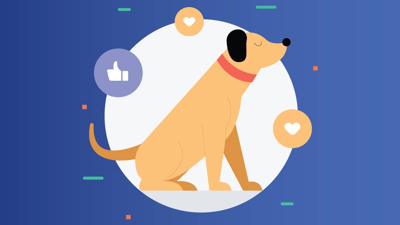 How to Turn Your New App Ideas into a Reality Mobil Uygulama Yap